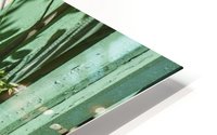 1 4 HD Metal print