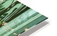 1 4 HD Metal print