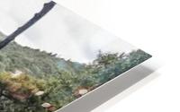 1 200 HD Metal print