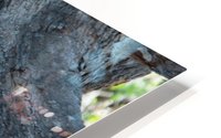 1 90 HD Metal print