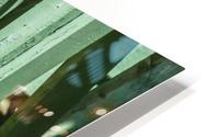 1 10 HD Metal print