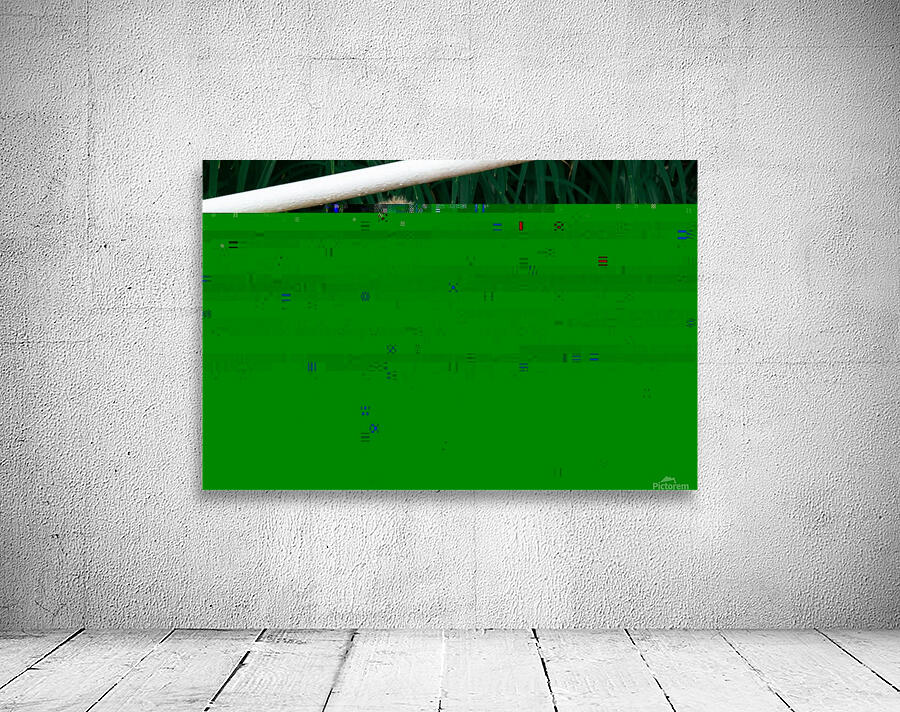 1 164 Wall Preview