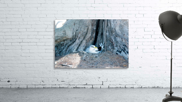 1 89 2 Wall Preview