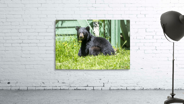 1 9 Wall Preview