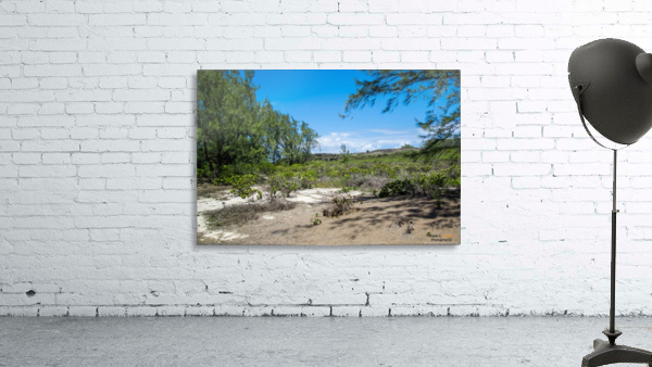 1 87 Wall Preview