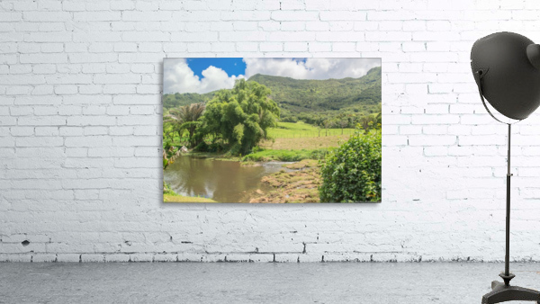 1 159 Wall Preview