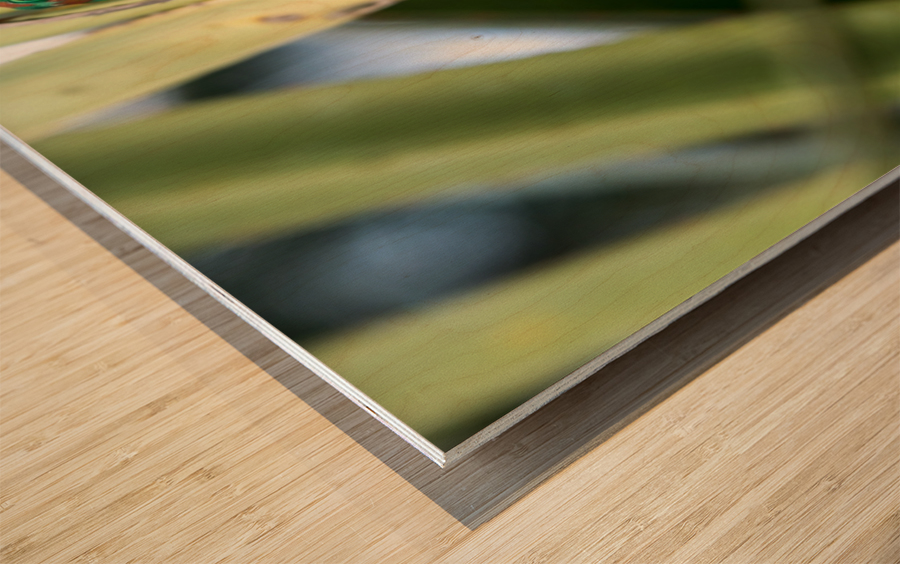1 175 Wood print