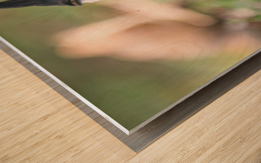 1 117 Wood print