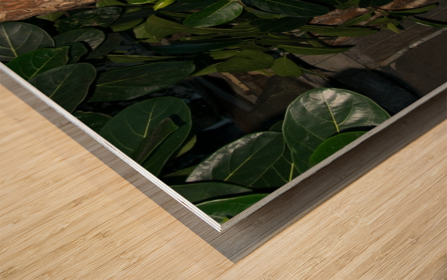 1 213 Wood print