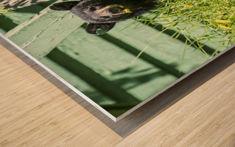 1 11 Wood print