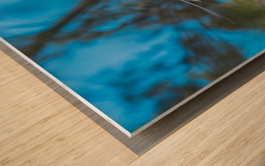 1 102 Wood print