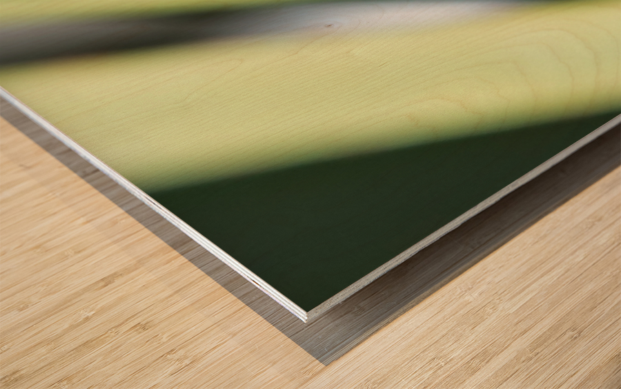 1 173 Wood print