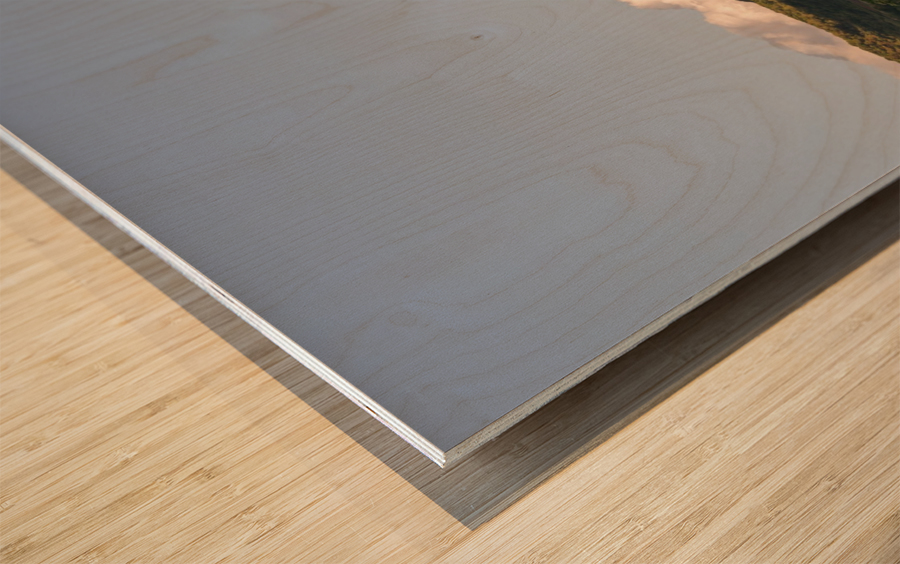 1 103 Wood print