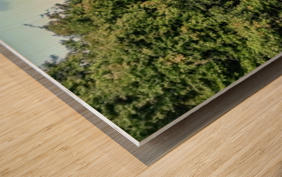 1 200 Wood print