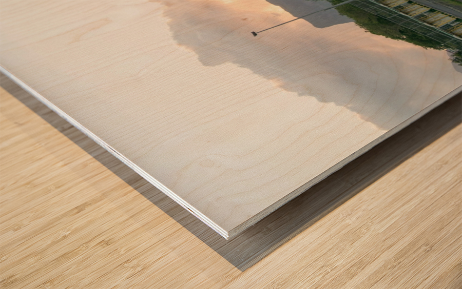 1 247 Wood print
