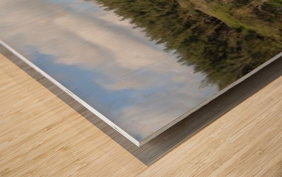 DSC_0930 Wood print