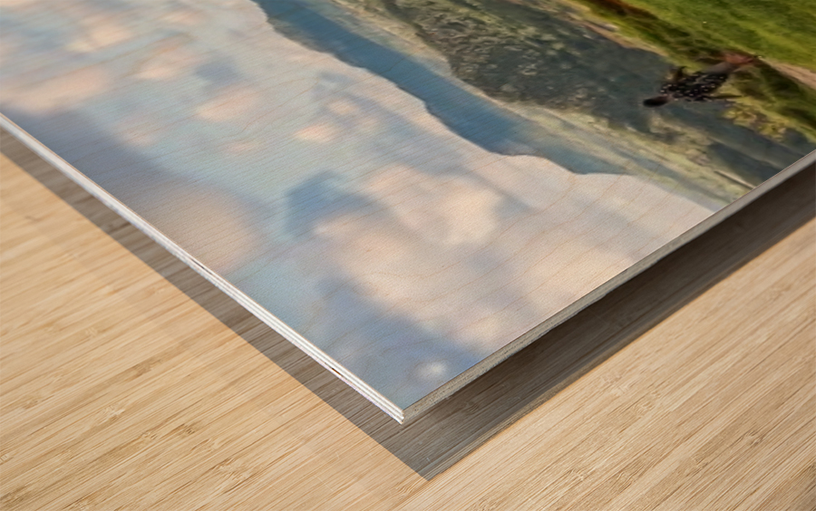 1 220 2 Wood print
