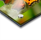 Coma Butterfly Acrylic print