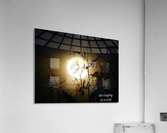 Moonlit cedar Acrylic Print