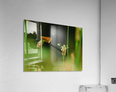 Tiny world  Acrylic Print