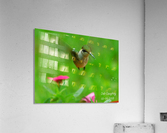 Ruby throated hummingbird Acrylic Print