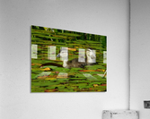 Wood ducklings Acrylic Print
