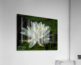 Marsh Beauty Acrylic Print