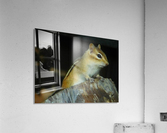 Chip or Dale... Acrylic Print