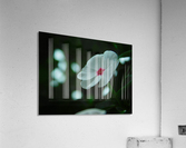 Awaiting Spring Acrylic Print