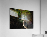 Fall morning  warm up Acrylic Print