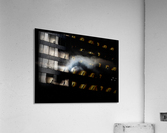 Just a Glimpse Acrylic Print
