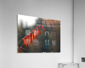 Sumac Red Acrylic Print