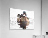 Colours Acrylic Print