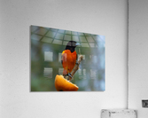 Bright Orange Acrylic Print