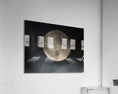 Moonlit Journey  Acrylic Print