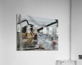 Dabbler Acrylic Print