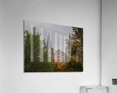 Fall Blessing Acrylic Print