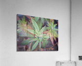Lush Green Acrylic Print