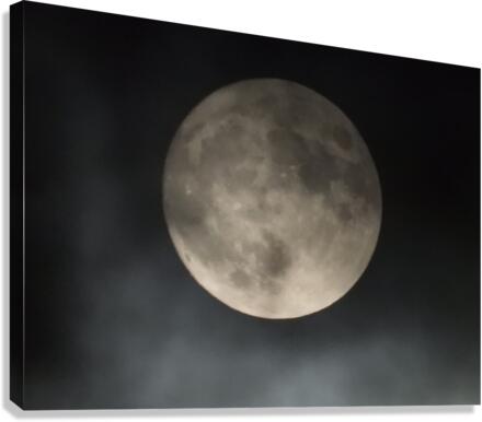 Moonlit Journey  Canvas Print