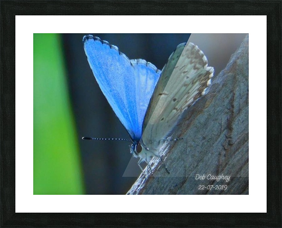 Azure Blue Picture Frame print