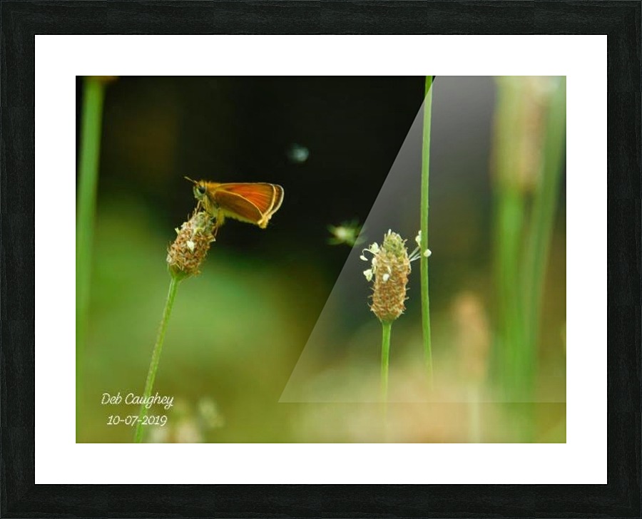 Tiny world  Picture Frame print