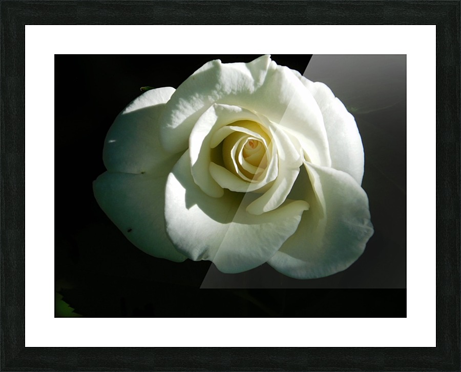 Bright white Picture Frame print