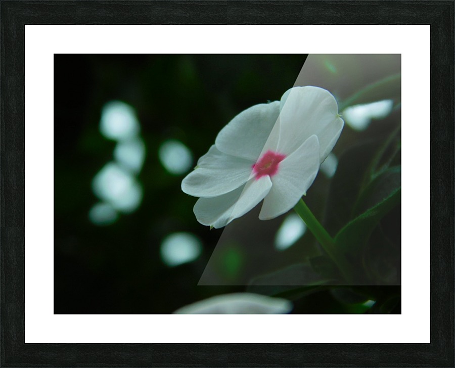 Awaiting Spring Picture Frame print