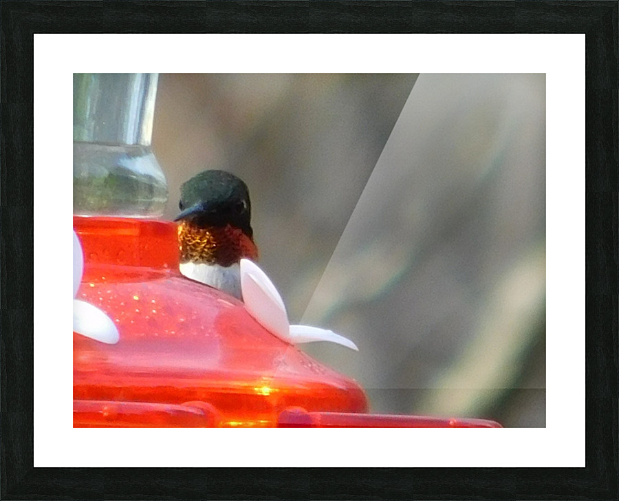  Fine Art print