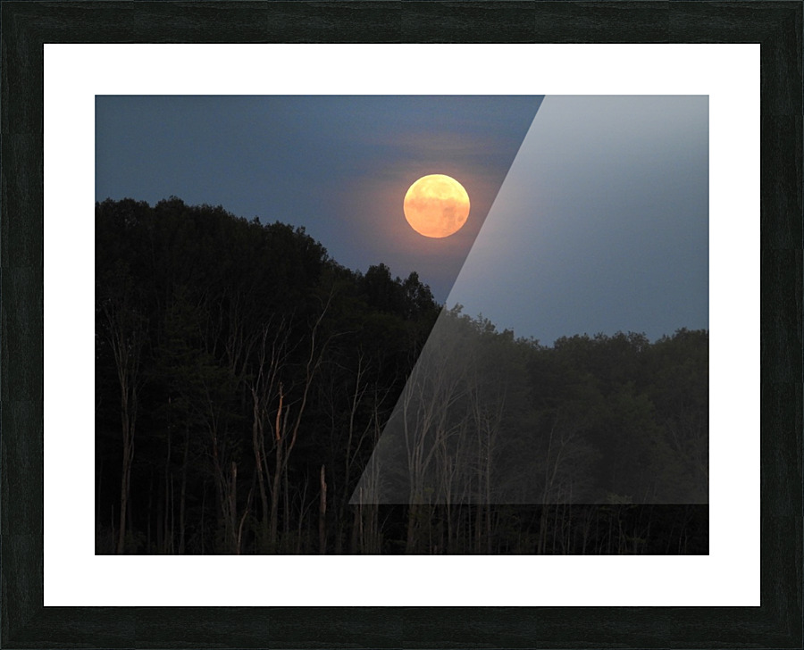  Fine Art print