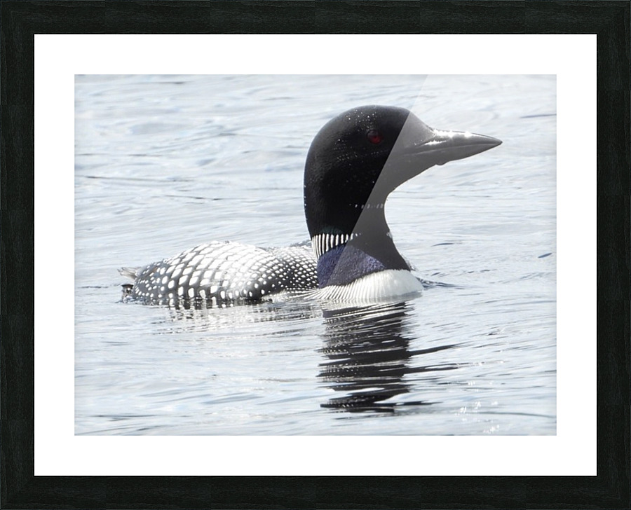  Fine Art print