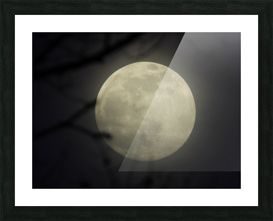  Fine Art print