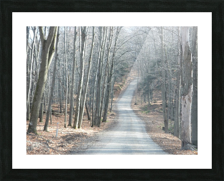  Fine Art print