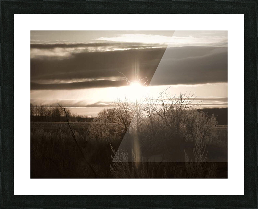  Fine Art print