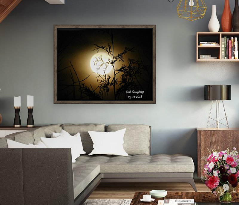 Moonlit cedar Reproduction